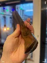 gros noyer 3.webp