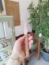 Pommier 1.webp
