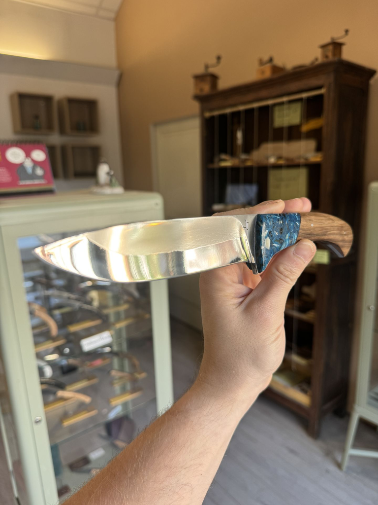 chasse zébu 2.webp