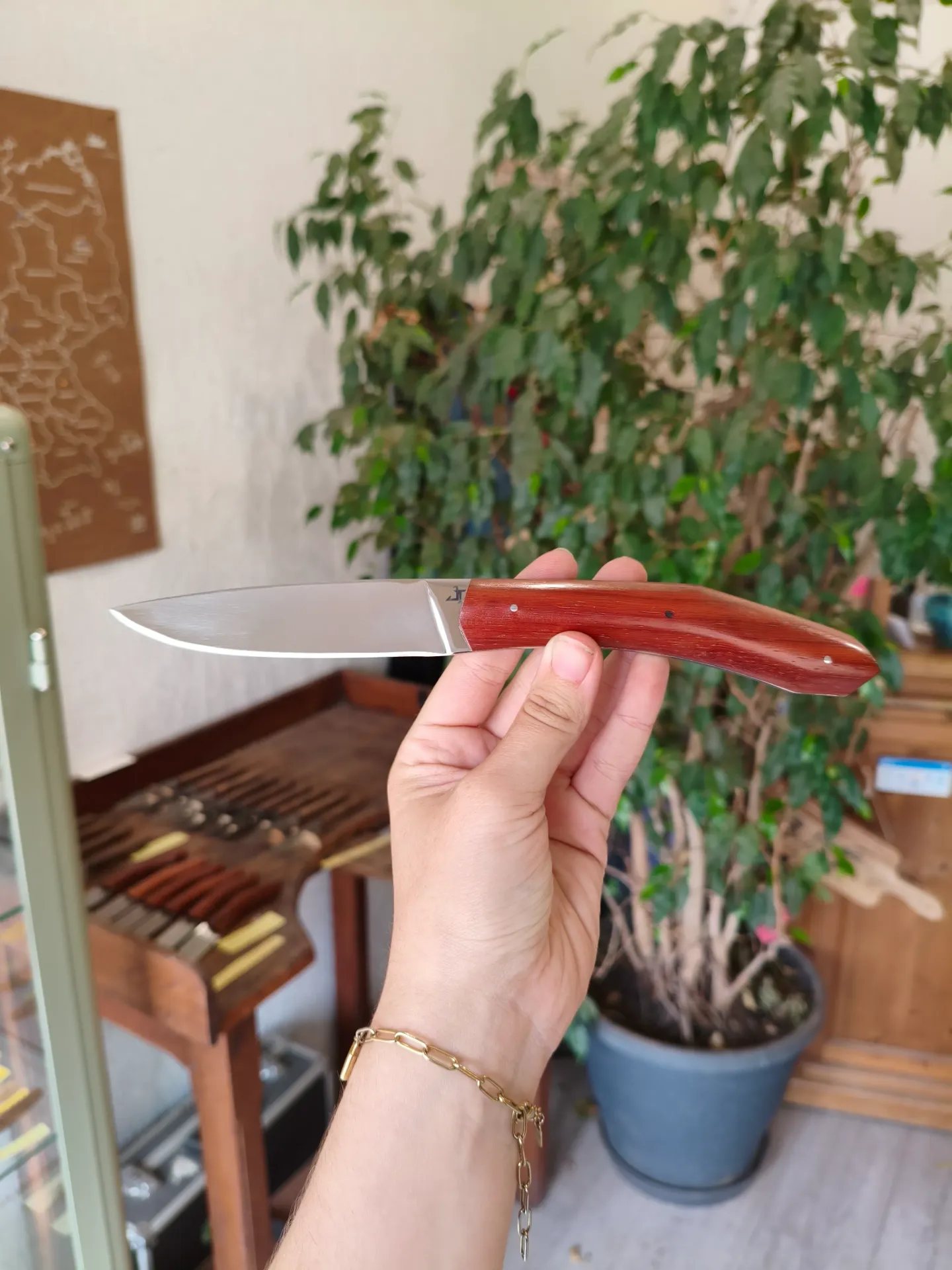 Couteau forme éclipse en padouk