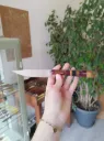 Couteau de table en multi matériaux