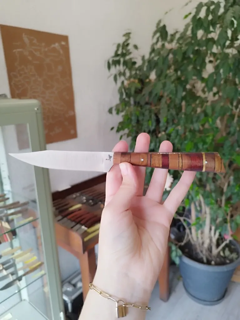 Couteau de table en multi matériaux