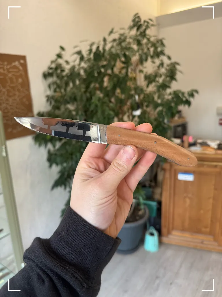 Couteau forme éclipse en pommier